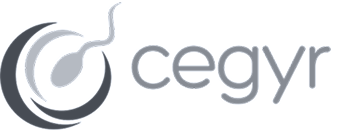 Cegyr